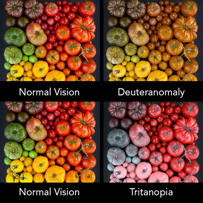 Color Blindness – Designing Through a Different Set of Eyes