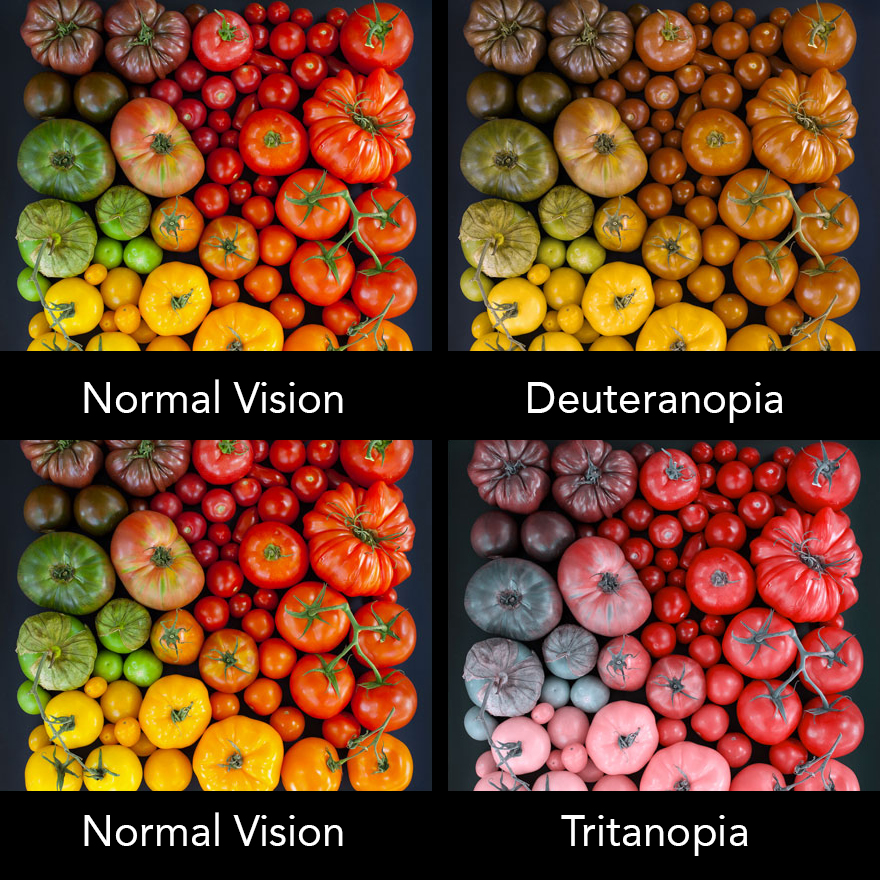 Red And Green Color Blindness - BLINDS